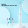 Sonic Electric Rechargeable Toothbrush - Type C